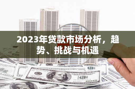 大丰2023年贷款市场分析，趋势、挑战与机遇