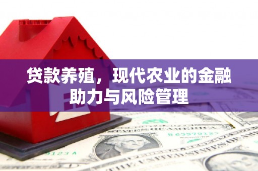 大丰贷款养殖，现代农业的金融助力与风险管理