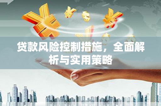 大丰贷款风险控制措施，全面解析与实用策略