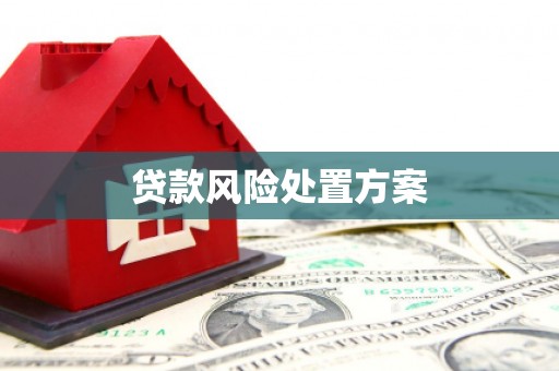 大丰贷款风险处置方案