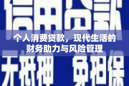 大丰个人消费贷款，现代生活的财务助力与风险管理
