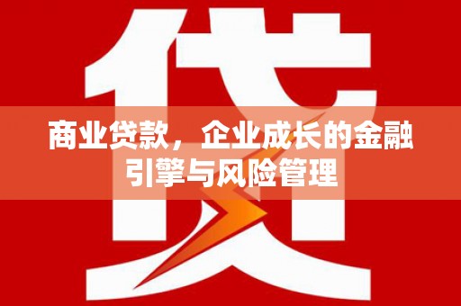 大丰商业贷款，企业成长的金融引擎与风险管理