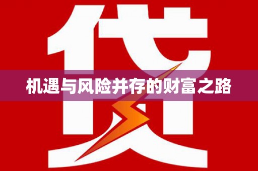 大丰机遇与风险并存的财富之路