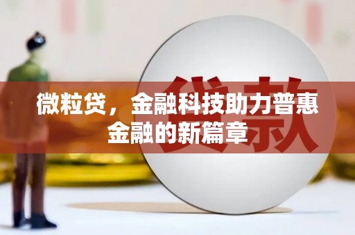 大丰微粒贷，金融科技助力普惠金融的新篇章