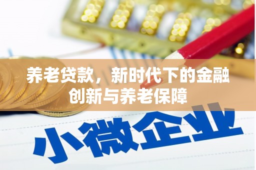 大丰养老贷款，新时代下的金融创新与养老保障