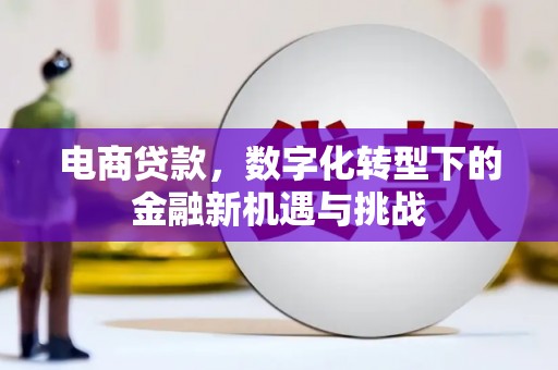 大丰电商贷款，数字化转型下的金融新机遇与挑战