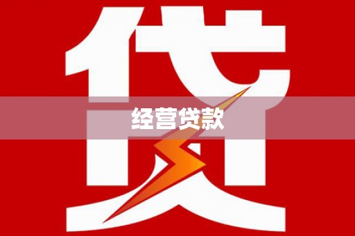大丰经营贷款