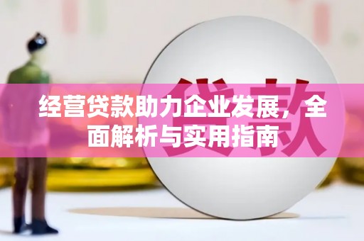 大丰经营贷款助力企业发展，全面解析与实用指南