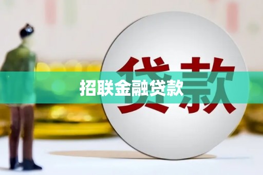 大丰招联金融贷款