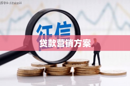 大丰贷款营销方案