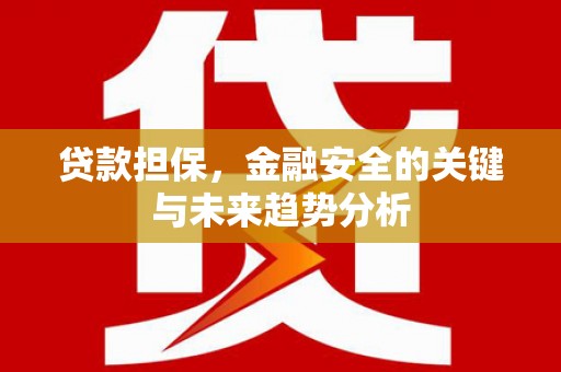 大丰贷款担保，金融安全的关键与未来趋势分析