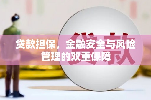 大丰贷款担保，金融安全与风险管理的双重保障