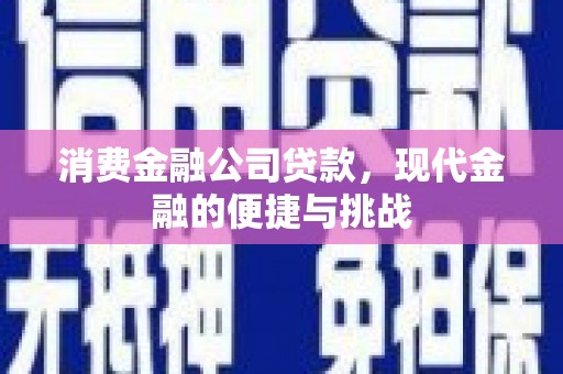 大丰消费金融公司贷款，现代金融的便捷与挑战