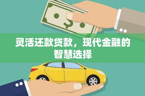 大丰灵活还款贷款，现代金融的智慧选择
