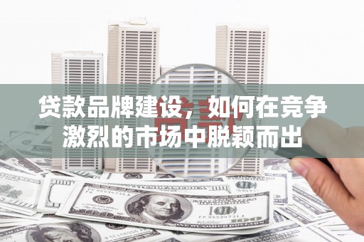 大丰贷款品牌建设，如何在竞争激烈的市场中脱颖而出