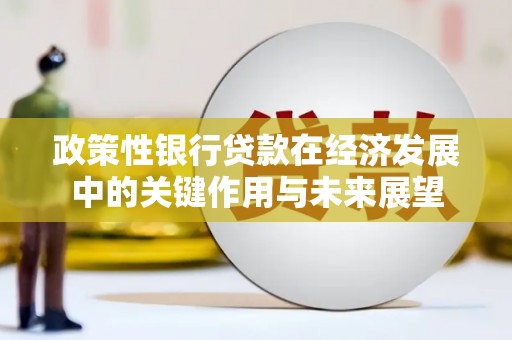 大丰政策性银行贷款在经济发展中的关键作用与未来展望