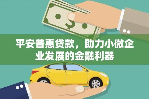 大丰平安普惠贷款，助力小微企业发展的金融利器