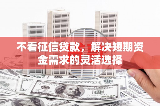 大丰不看征信贷款，解决短期资金需求的灵活选择