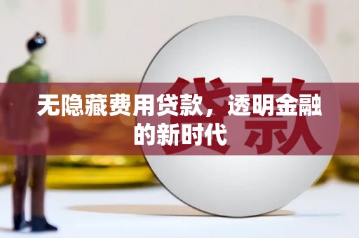 大丰无隐藏费用贷款，透明金融的新时代