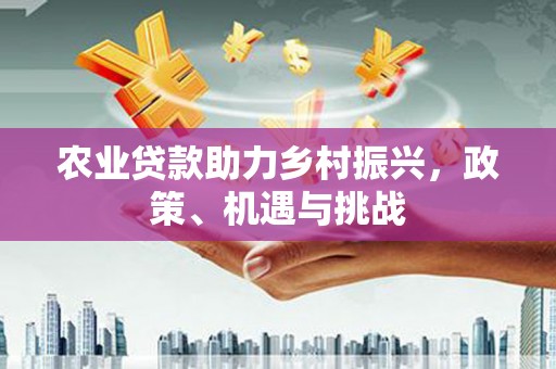 大丰农业贷款助力乡村振兴，政策、机遇与挑战