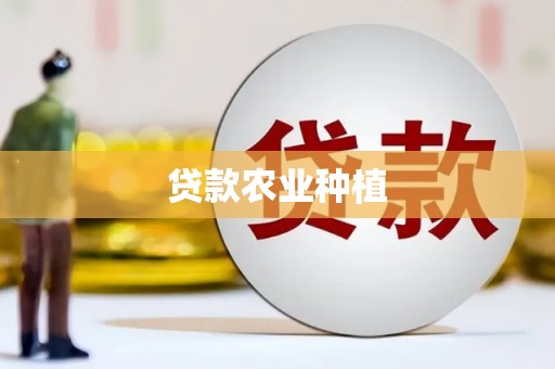 大丰贷款农业种植
