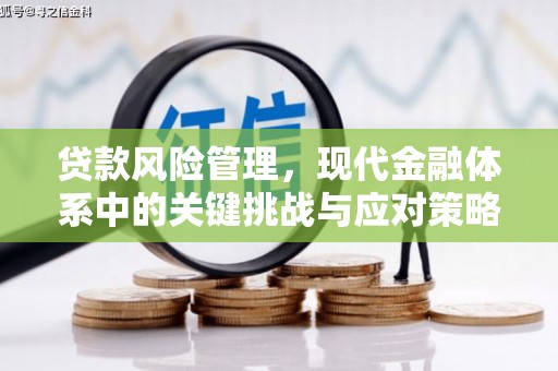 大丰贷款风险管理，现代金融体系中的关键挑战与应对策略