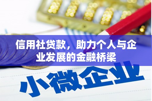 大丰信用社贷款，助力个人与企业发展的金融桥梁