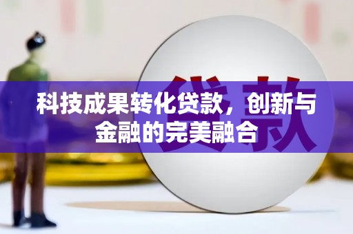 大丰科技成果转化贷款，创新与金融的完美融合