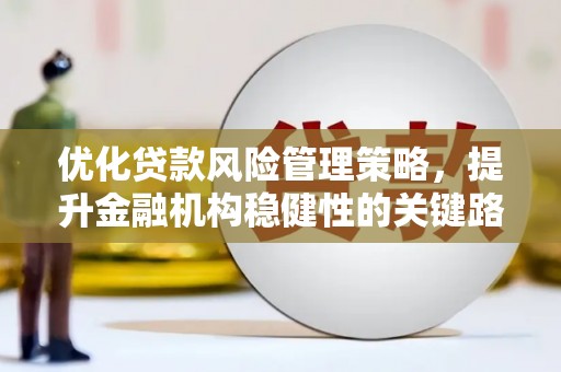 大丰优化贷款风险管理策略，提升金融机构稳健性的关键路径