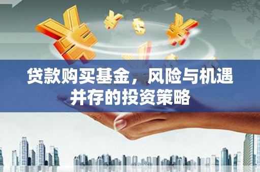 大丰贷款购买基金，风险与机遇并存的投资策略