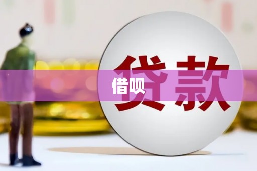 大丰借呗