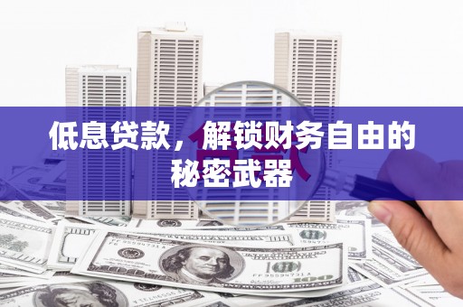 大丰低息贷款，解锁财务自由的秘密武器