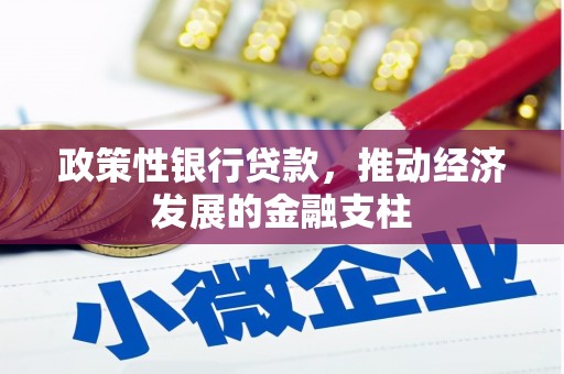 大丰政策性银行贷款，推动经济发展的金融支柱