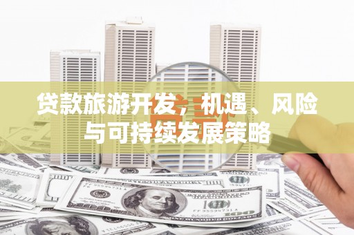 大丰贷款旅游开发，机遇、风险与可持续发展策略