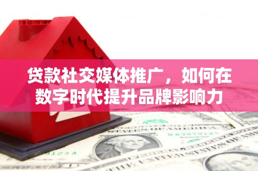 大丰贷款社交媒体推广，如何在数字时代提升品牌影响力