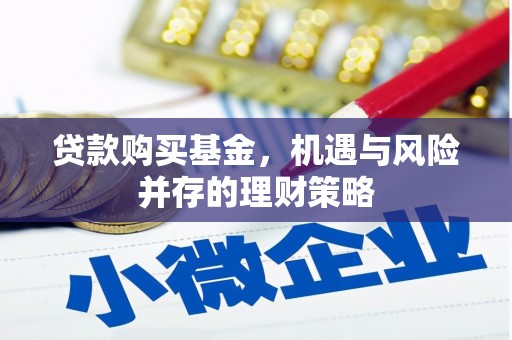 大丰贷款购买基金，机遇与风险并存的理财策略