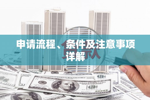 大丰申请流程、条件及注意事项详解
