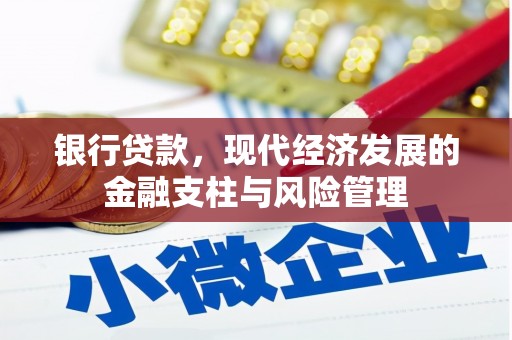 大丰银行贷款，现代经济发展的金融支柱与风险管理