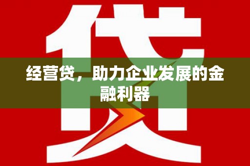 大丰经营贷，助力企业发展的金融利器