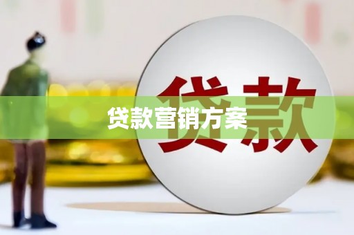 大丰贷款营销方案