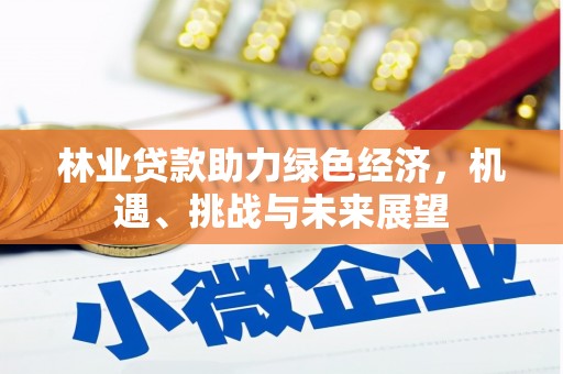 大丰林业贷款助力绿色经济，机遇、挑战与未来展望