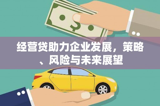 大丰经营贷助力企业发展，策略、风险与未来展望