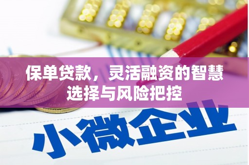 大丰保单贷款，灵活融资的智慧选择与风险把控