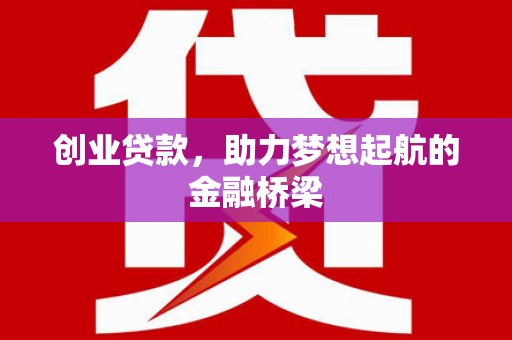 大丰创业贷款，助力梦想起航的金融桥梁