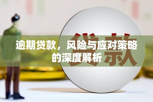 大丰逾期贷款，风险与应对策略的深度解析