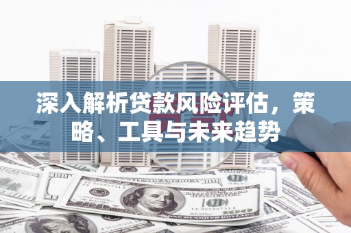 大丰深入解析贷款风险评估，策略、工具与未来趋势