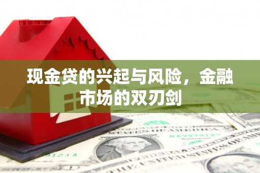 大丰现金贷的兴起与风险，金融市场的双刃剑