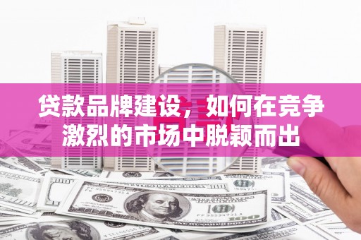 大丰贷款品牌建设，如何在竞争激烈的市场中脱颖而出