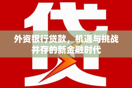 大丰外资银行贷款，机遇与挑战并存的新金融时代