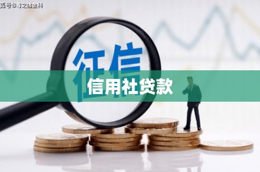 大丰信用社贷款